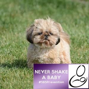 Meet your Posher, Pam